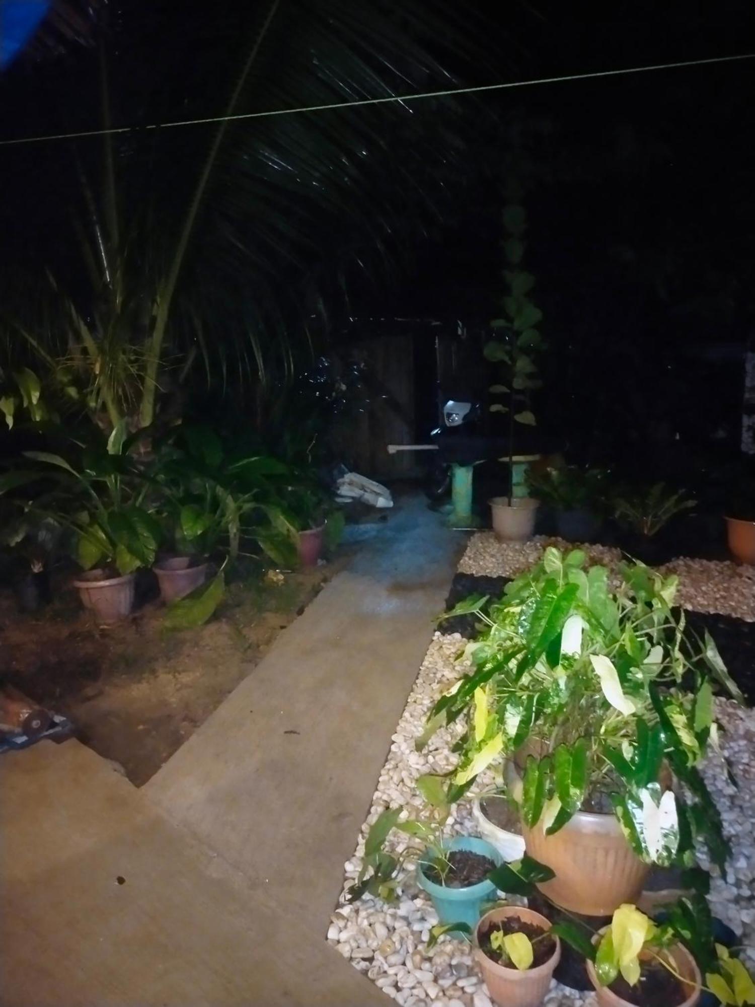 Ziah'S Guest House San Vicente  Bagian luar foto