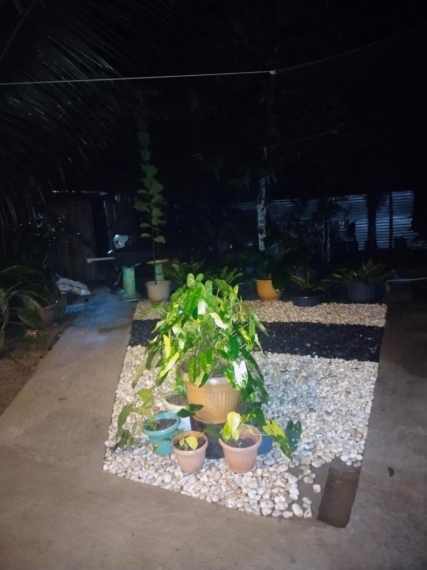 Ziah'S Guest House San Vicente  Bagian luar foto