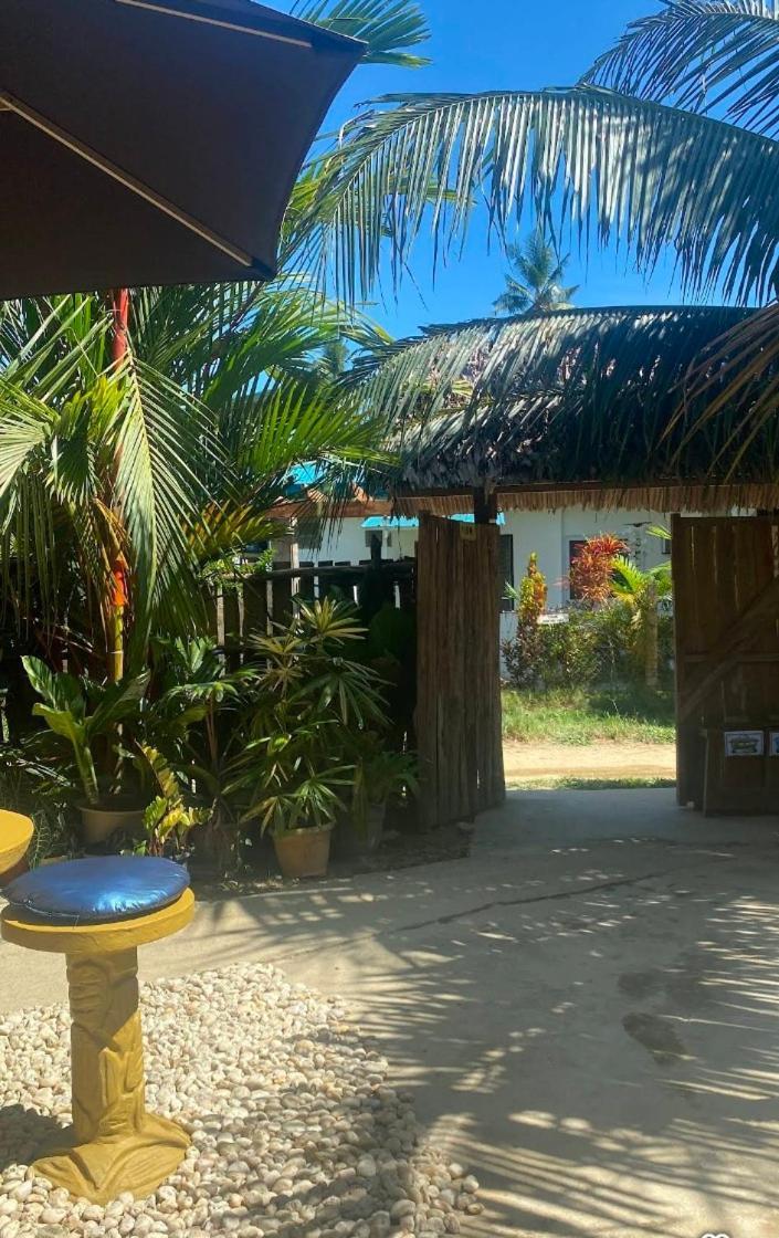 Ziah'S Guest House San Vicente  Bagian luar foto
